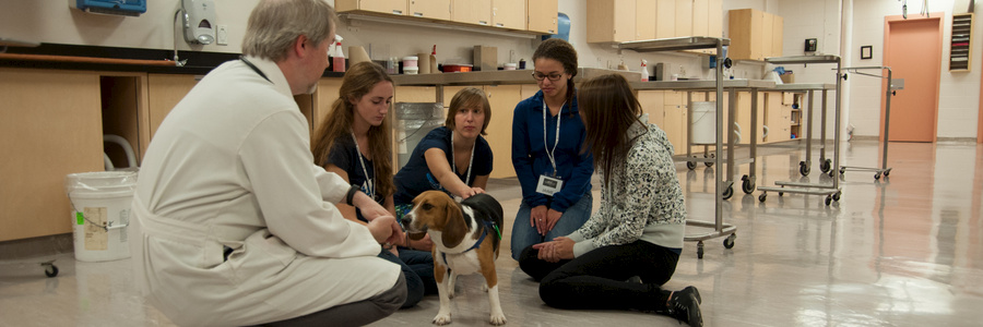 veterinarian and students with a beagle