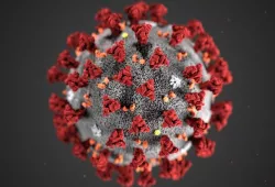 An artistic rendering of the COVID-19 virus, a dark sphere dotted by clusters of shaggy spikes