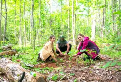three students planting trees in the forest