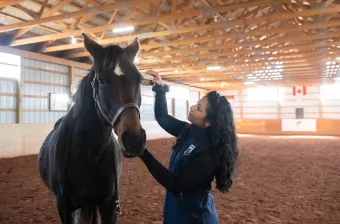 UPEI veterinary student Anam brushing a brown horse