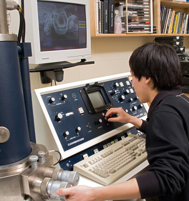 A student works in a lab