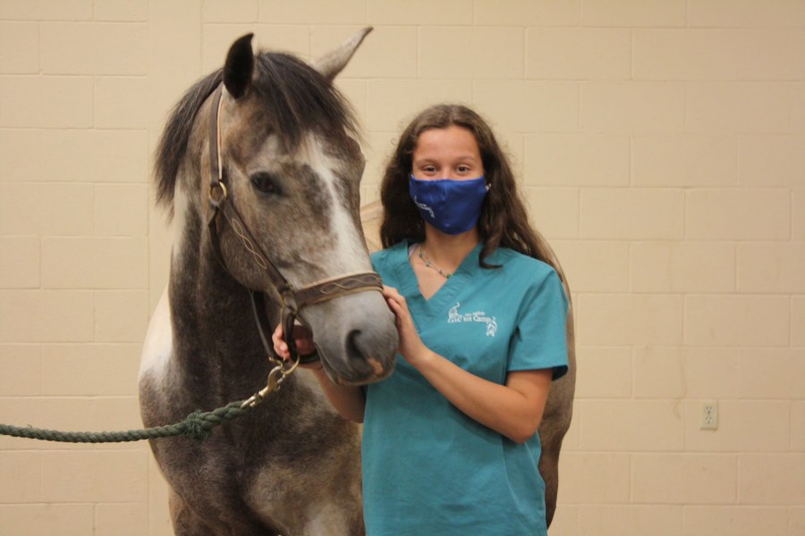 A vet camp participant with a horse