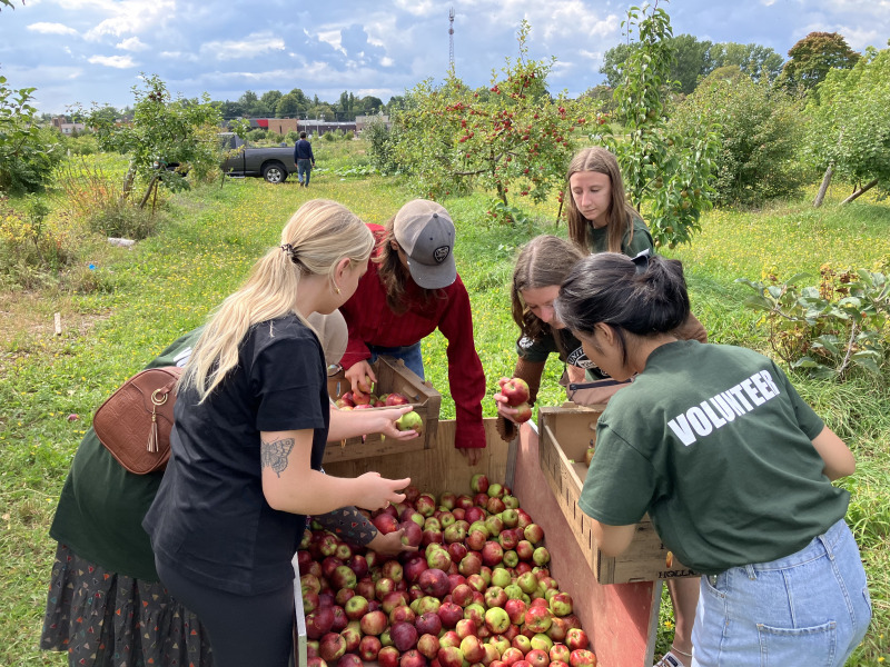 As part of an “Afternoon of Service” in June 2022, UPEI student volunteers participated in various activities with residents of The Mount Continuing Care Community, including helping with the apple orchards.