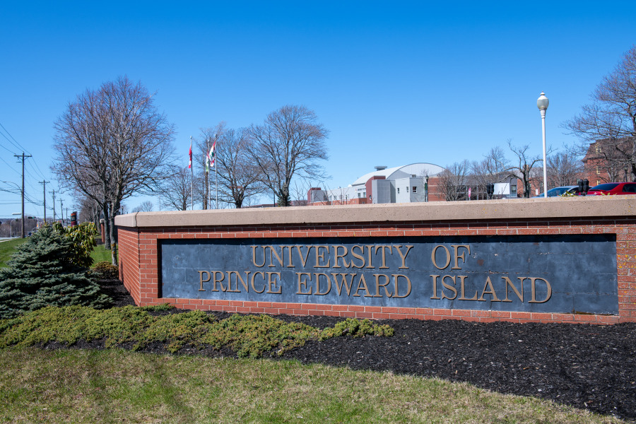 brick wall at University entrance