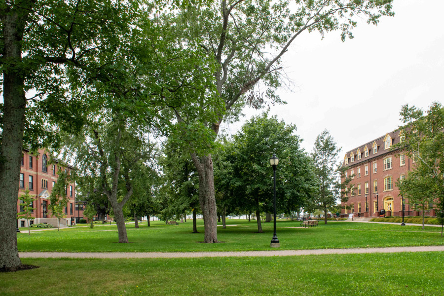 Photo of campus during the fall