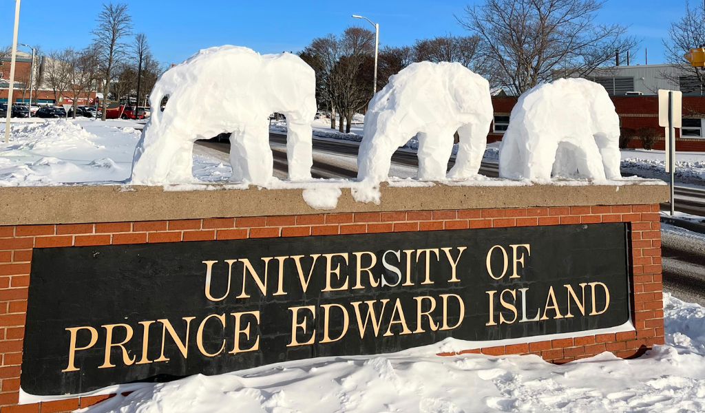 elephants sculpted in snow appear on the UPEI sign