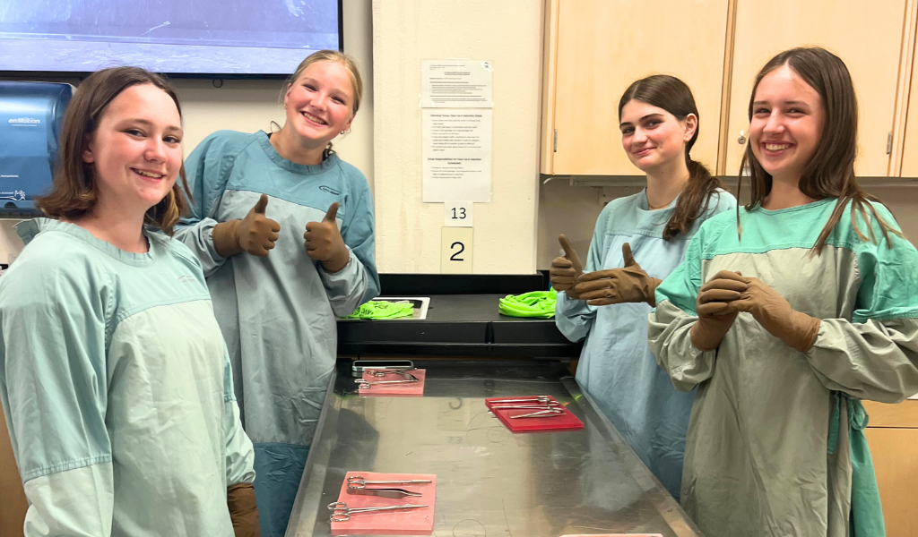 Campers learn how to suture at Vet Camp