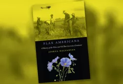 The cover of Flax Americana