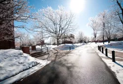 image of paved walkway on campus with bright winter sun