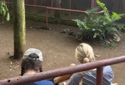 Students observe a spider monkey for an enrichment project during the Loop Abroad’s Costa Rica Pre-Vet Wildlife Medicine program.