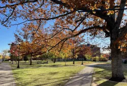 Photo of campus quadrangle in the fall