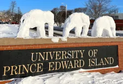 elephants sculpted in snow appear on the UPEI sign