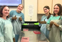 Campers learn how to suture at Vet Camp