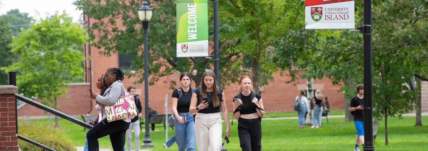 students walking in the UPEI quad