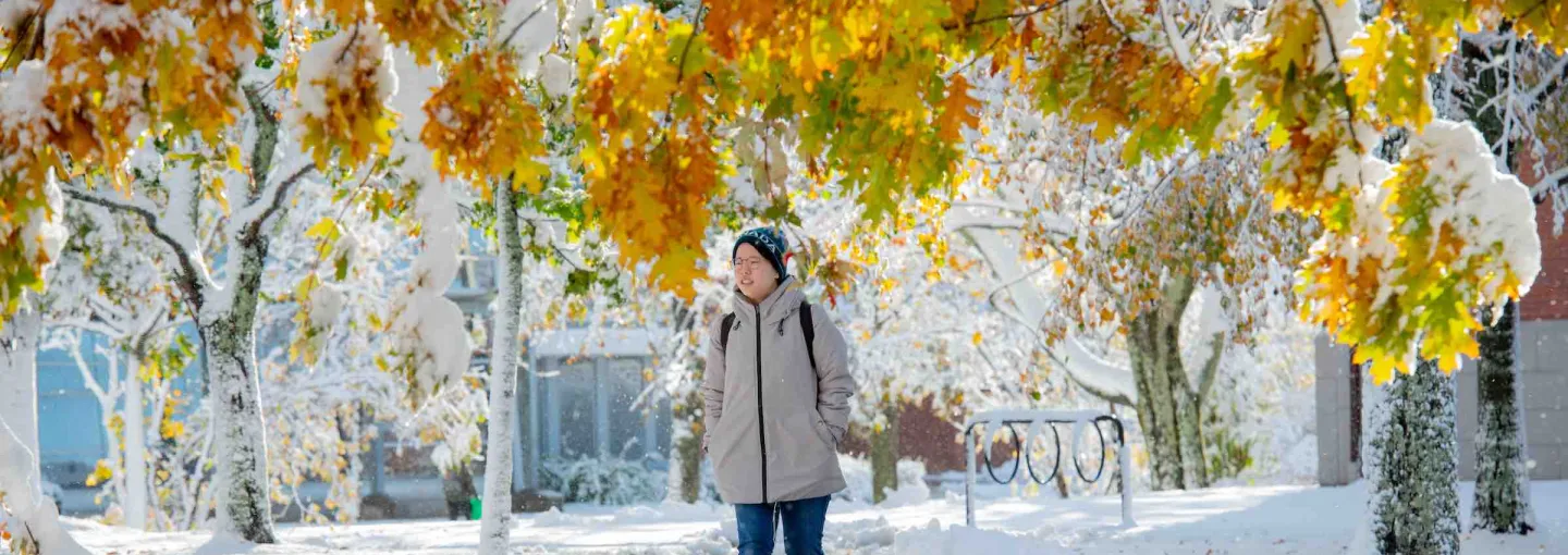 a student walking under a tree on a snowy day