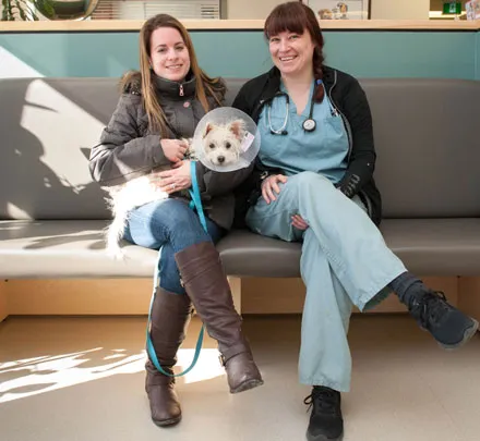 A veterinarian sits with a dog and its owner