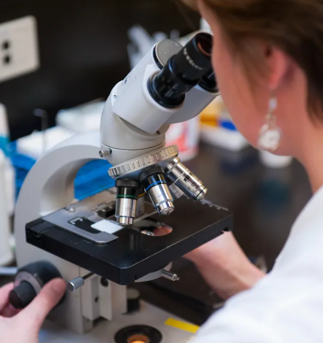 A researcher looks through a microscope