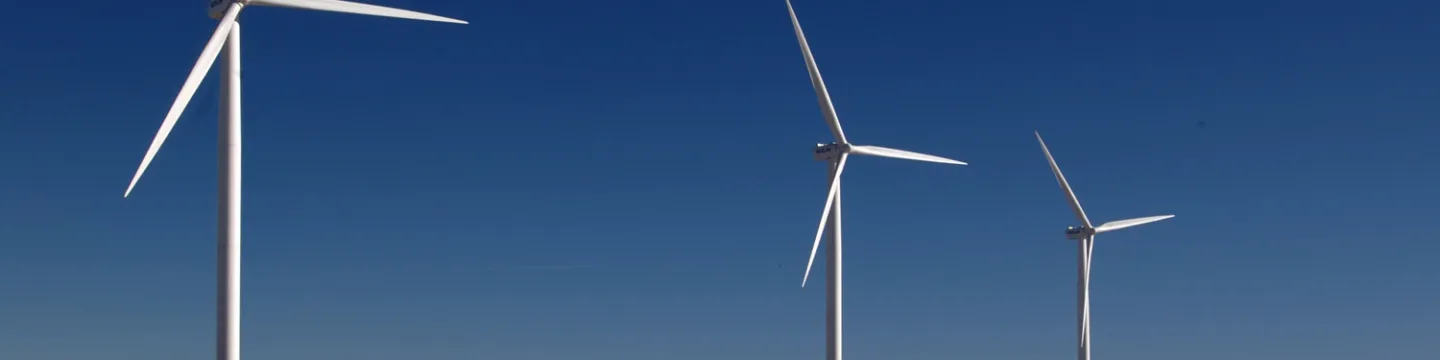 Windmills in a field