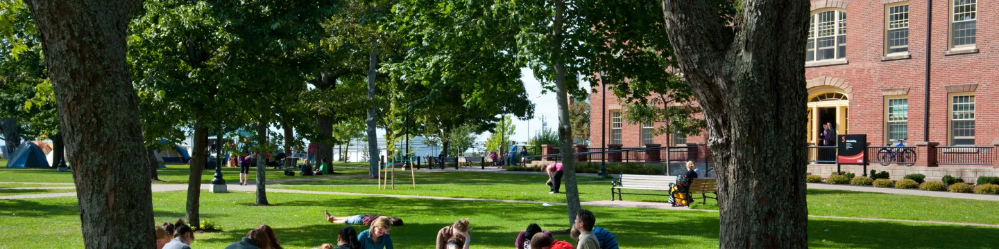 Students reading outside