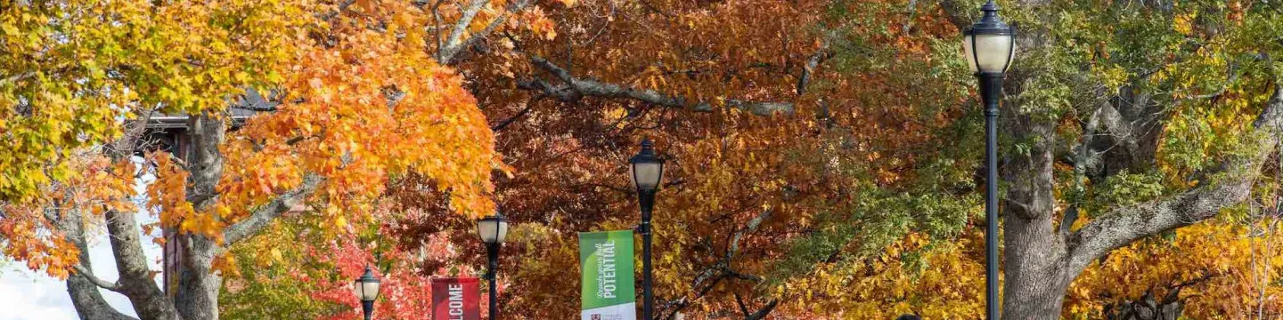 two students walking in the UPEI quad in Fall