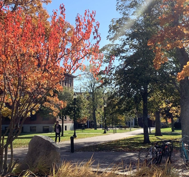 students in the upei quadrangle